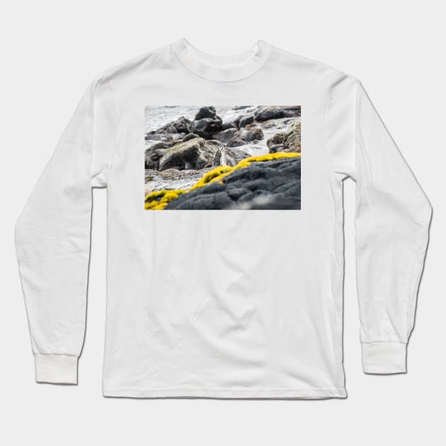 Black-crowned night heron of hawaii Long Sleeve T-Shirt by KensLensDesigns